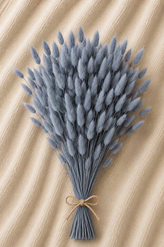 Lagurus
