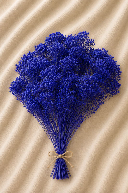Broom Bloom