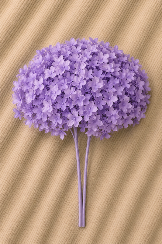 Ortensia