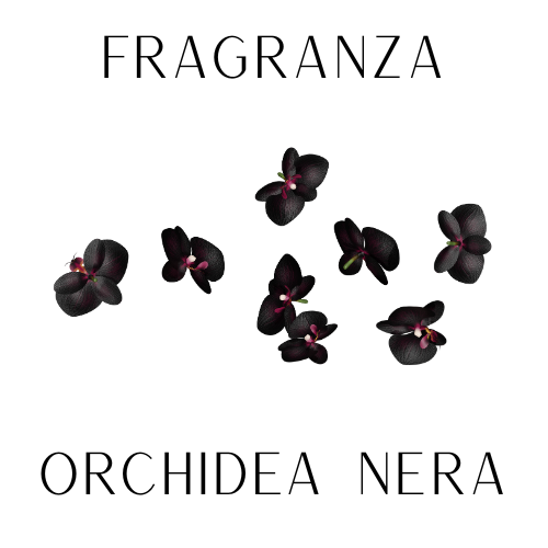 Fragranza Orchidea Nera