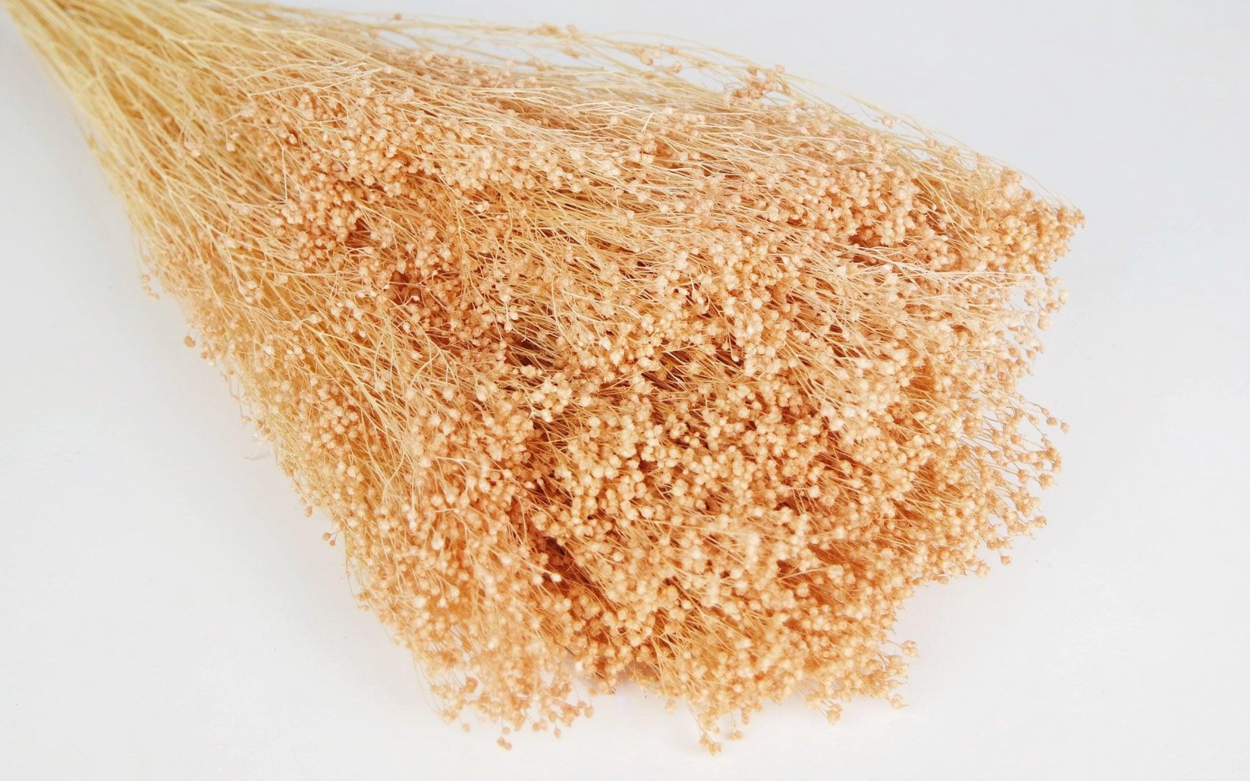 Broom Bloom (100g)