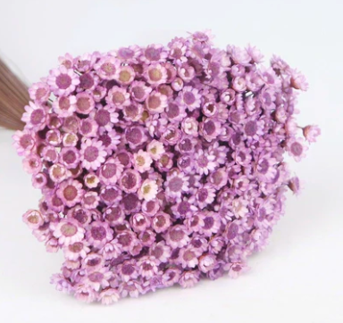 Glixia (100g)