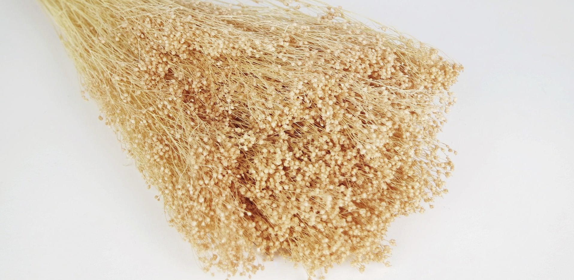 Broom Bloom (100g)