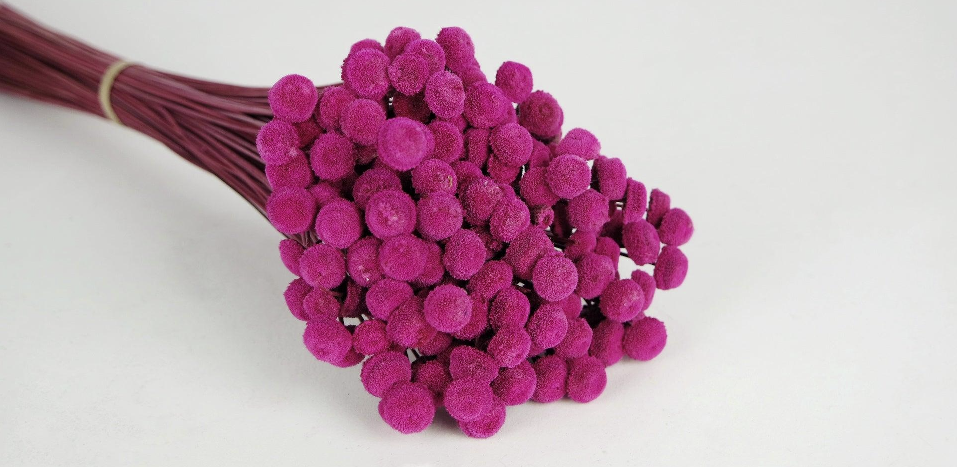 Botao (100g)